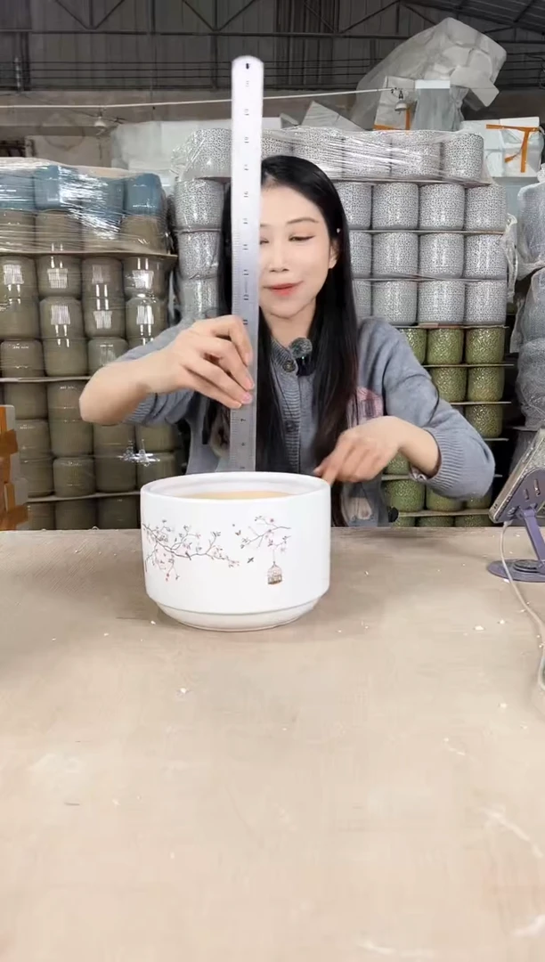 【闪购商品】陶瓷蝴蝶兰鸟笼白色小号18x12