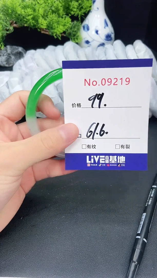 未镶嵌手镯翡翠用****09219