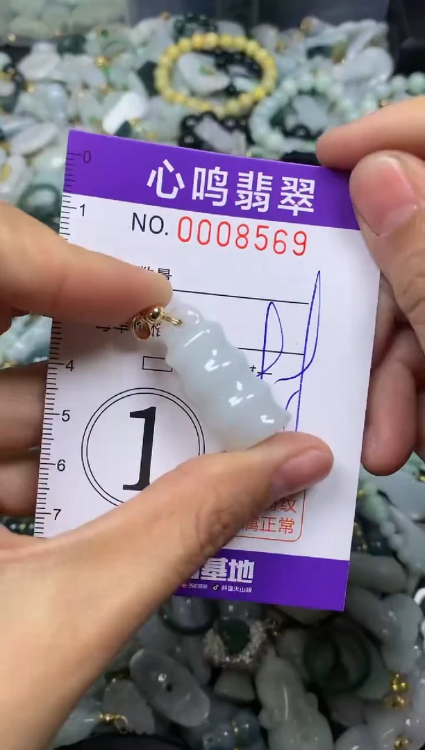 【闪购商品】翡翠颈饰未镶嵌闪购008569