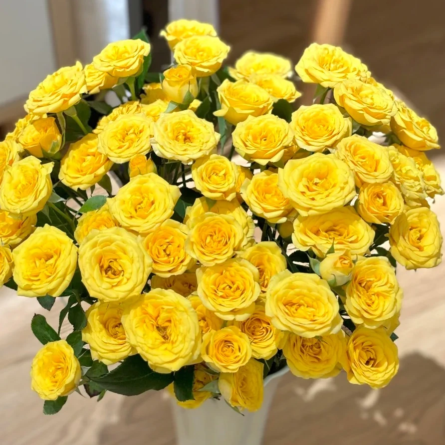 【梦幻芭比】柠檬黄稀缺多头10枝北方多头玫瑰+产地京东顺丰包邮
