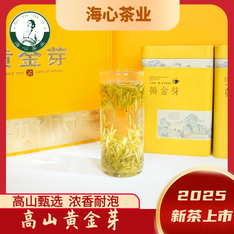 【明前高山黄金芽】浓香耐泡花香果香海心茶业2025新茶