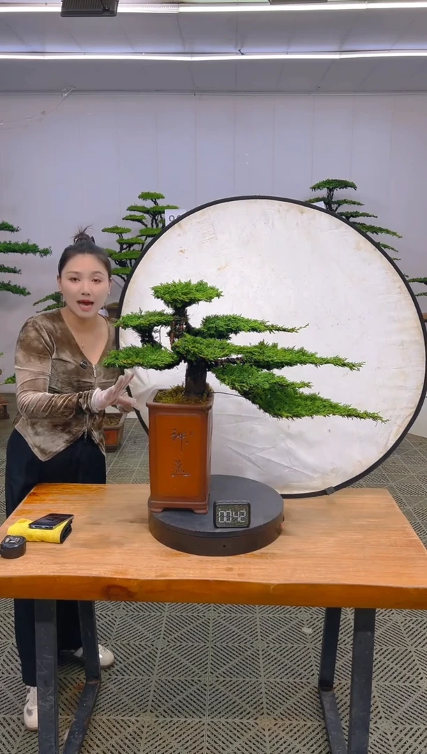 无花朵一物一拍一物一拍