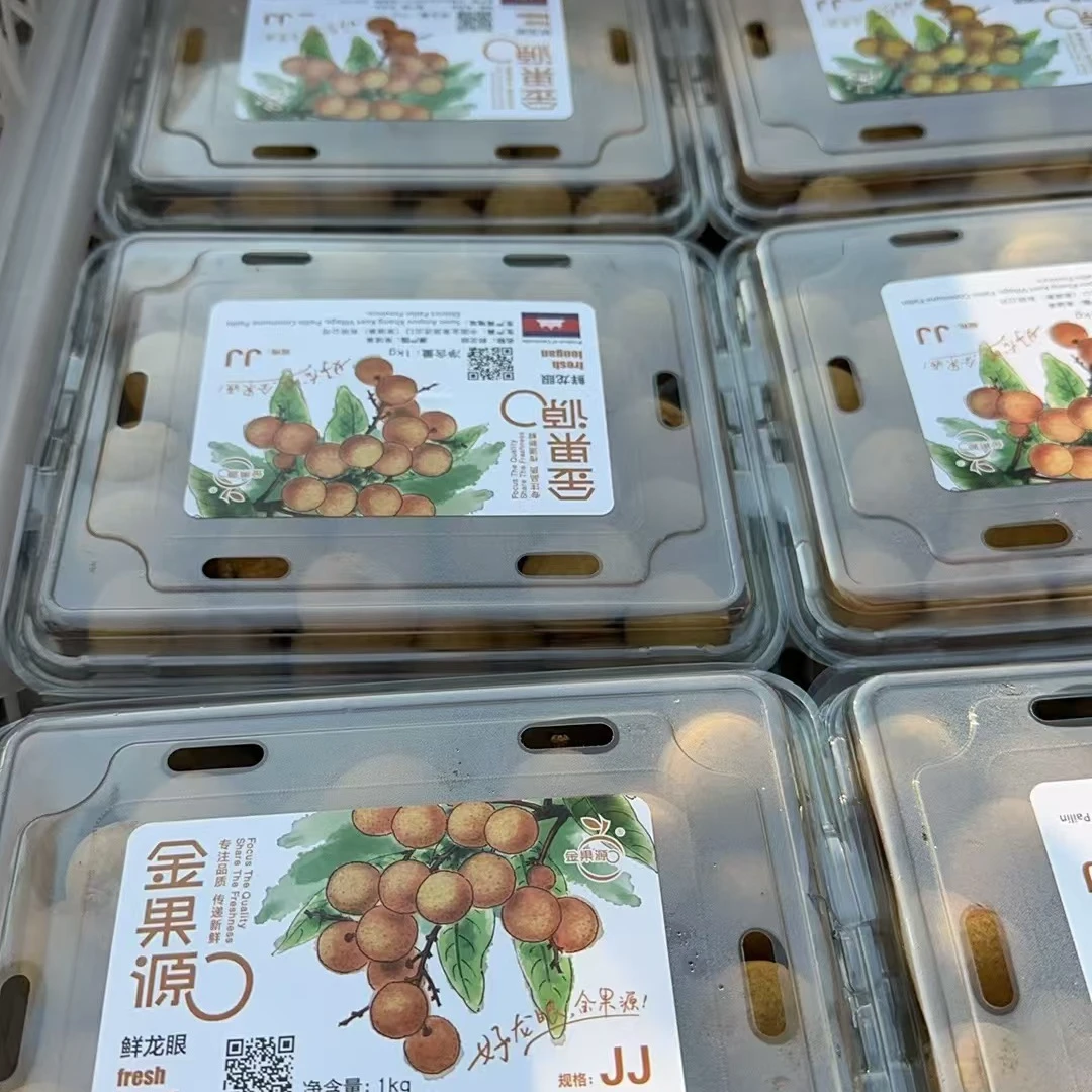 金果源   龙眼 两盒（4斤）【顺丰包邮今天拍明天到】