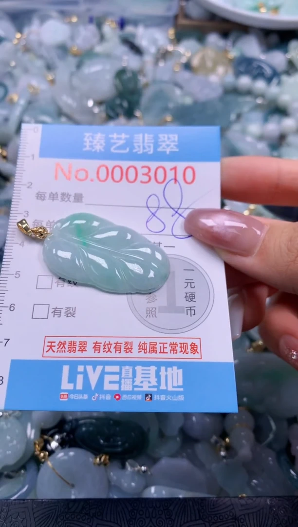翡翠未镶嵌颈饰3010