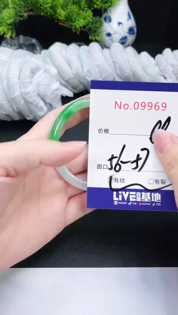 未镶嵌手镯翡翠9969