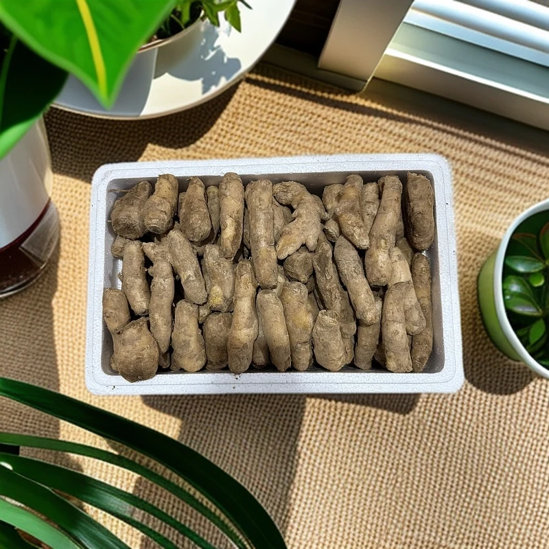 山东正宗大黄姜昌邑大姜姜巴碎姜