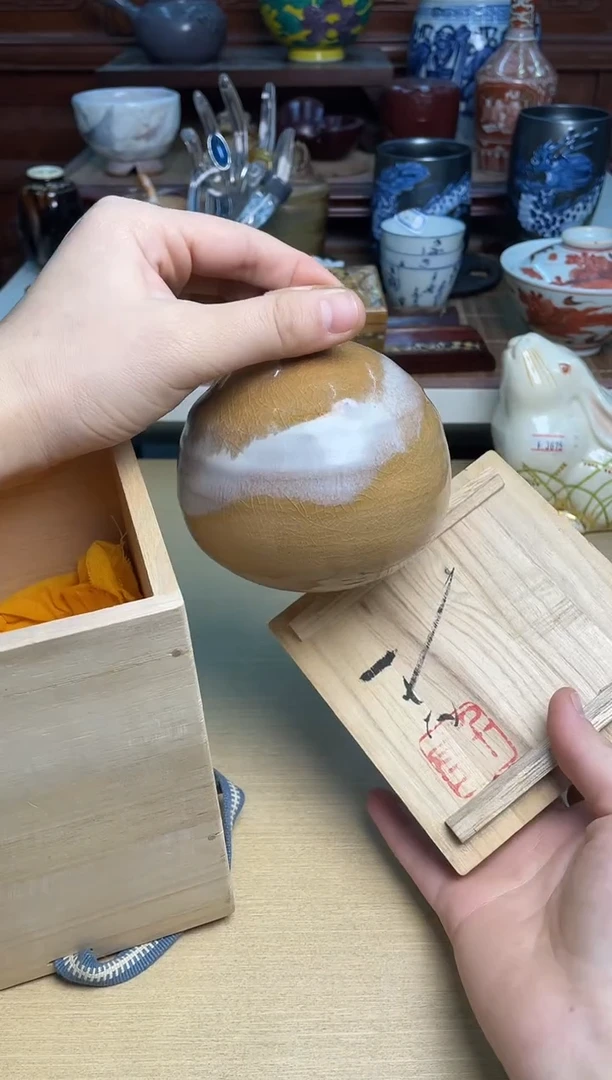 111号直播专用链接