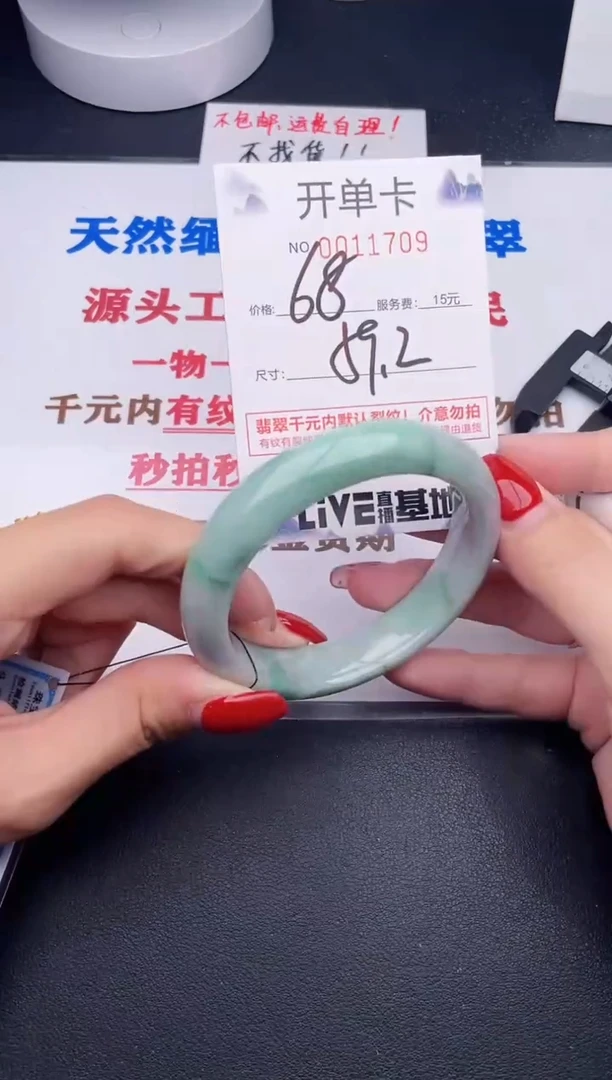 未镶嵌手镯翡翠09