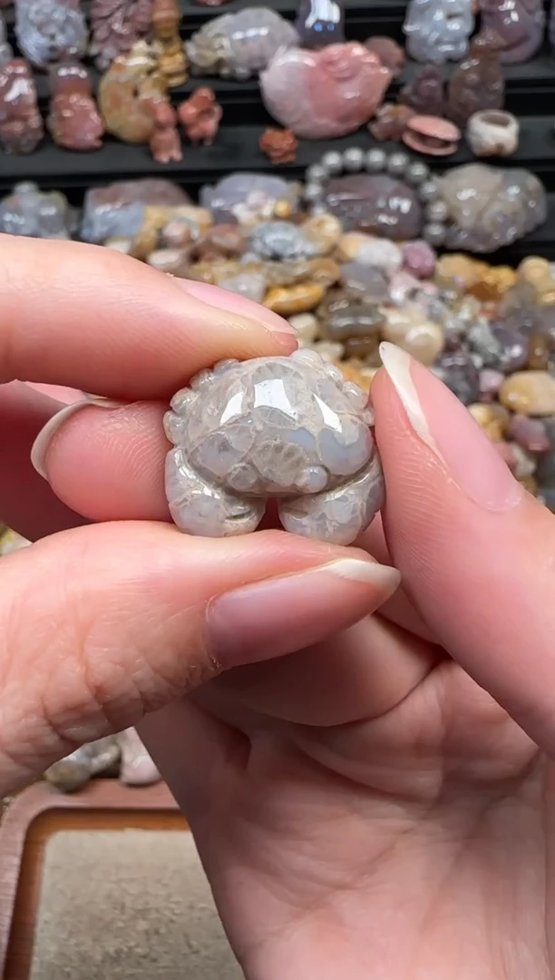 颈饰未镶嵌硅化珊瑚（珊瑚玉）799