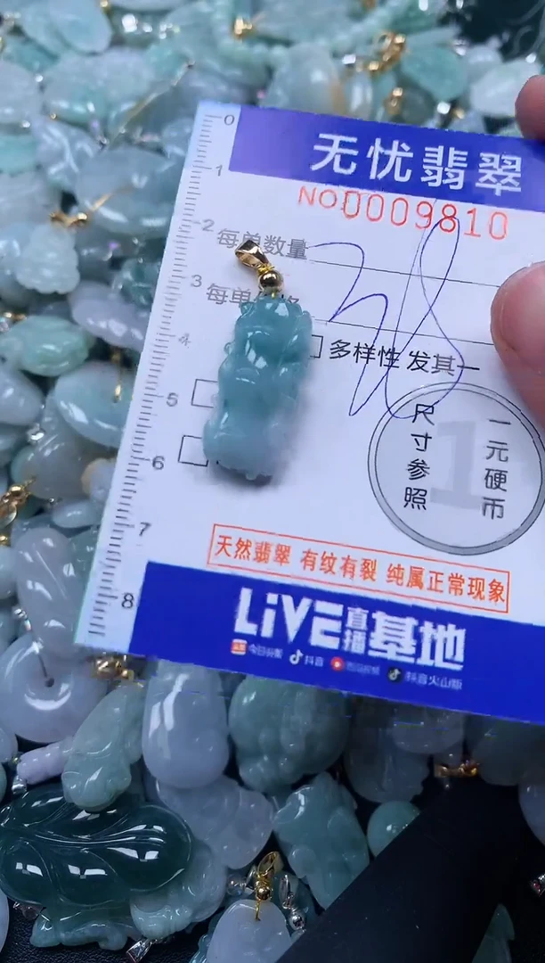 颈饰未镶嵌翡翠9810