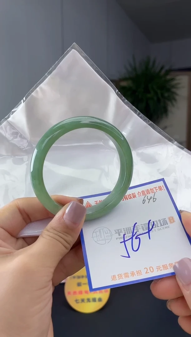 未镶嵌手镯翡翠11111111111