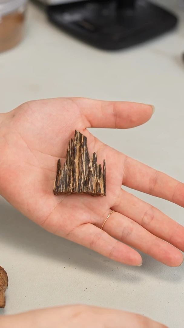 沉香沉香碎屑海南尖峰岭6克