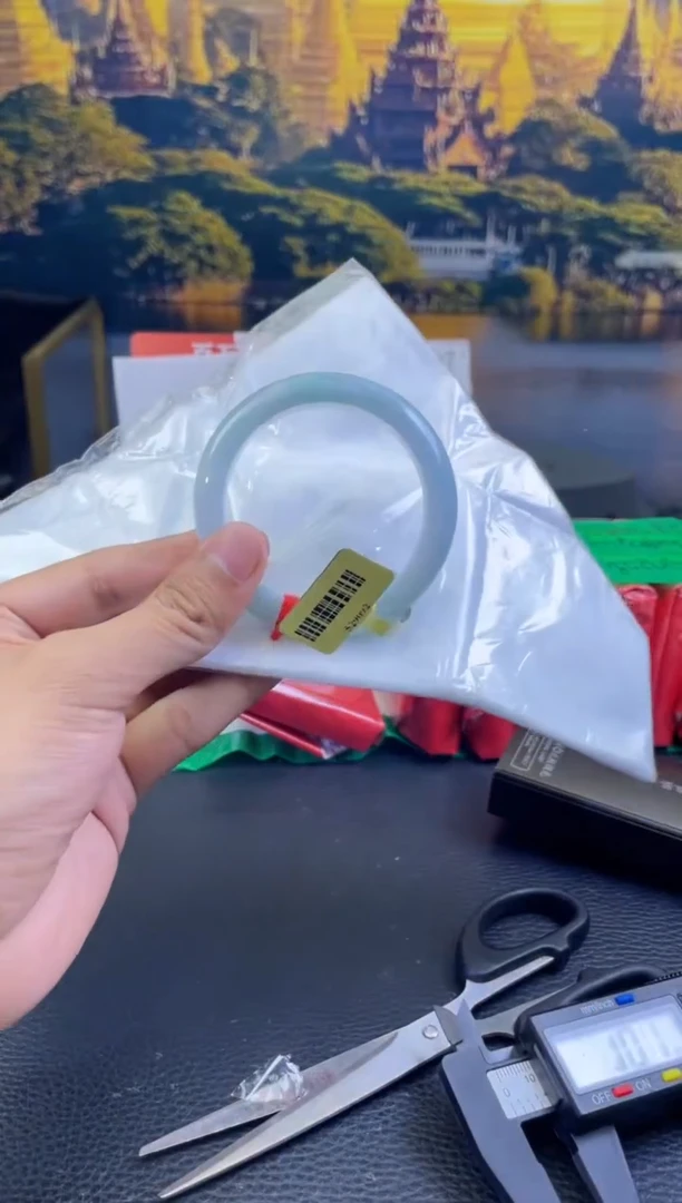 未镶嵌手镯翡翠3