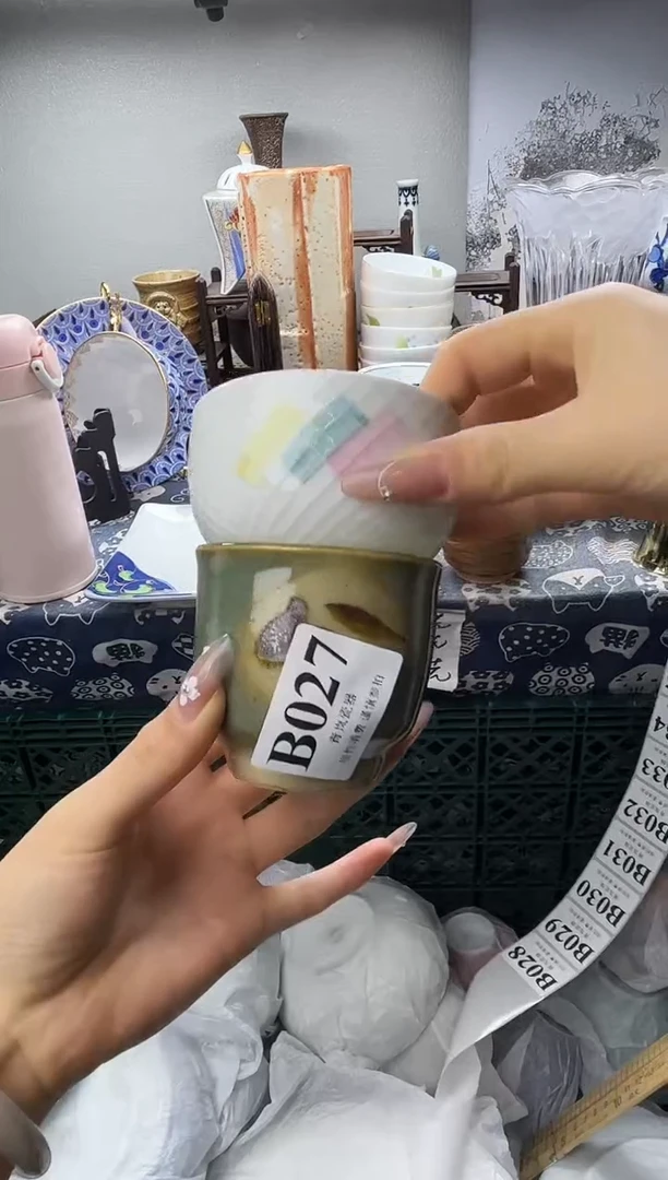 瓷片达**氏  B027