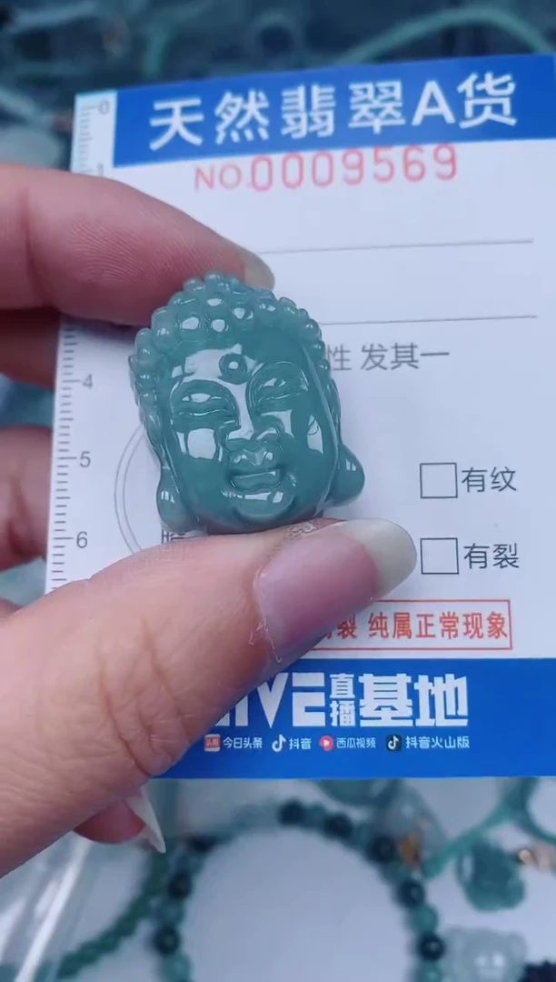 颈饰未镶嵌翡翠00009569