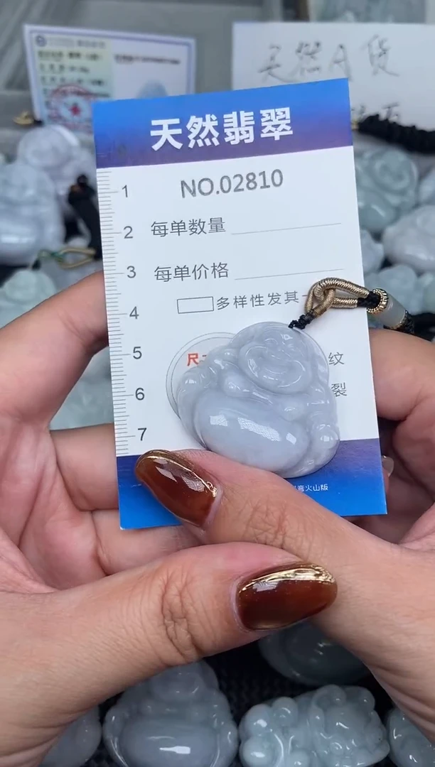 颈饰未镶嵌翡翠天然A货翡翠纯2810