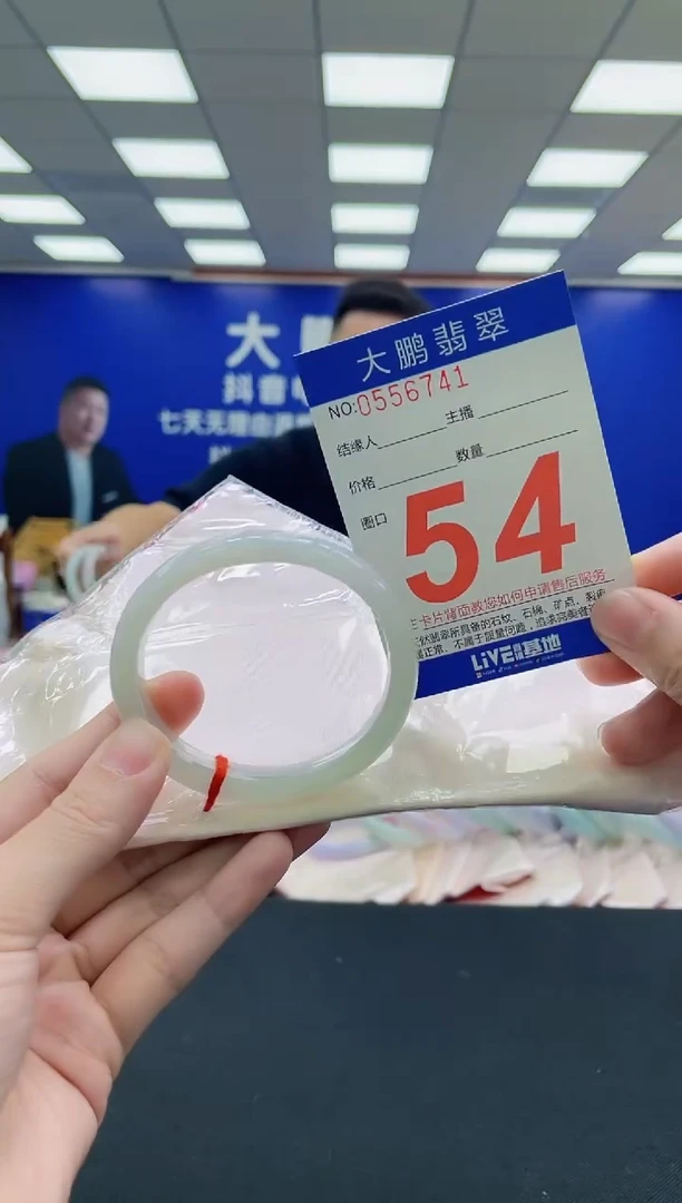 未镶嵌手镯翡翠AAAAAAAAA