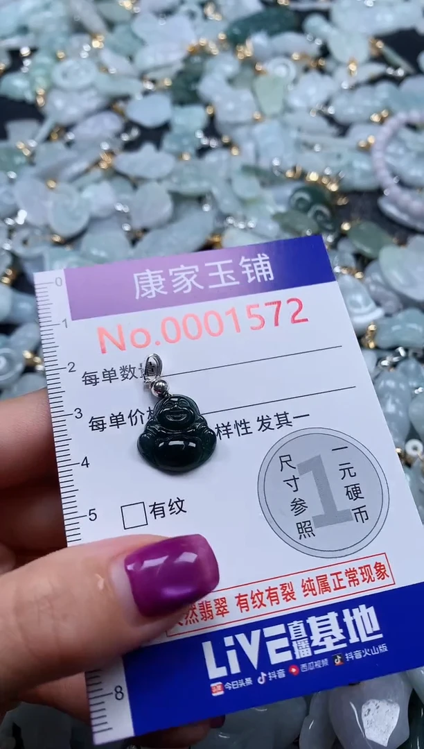 颈饰未镶嵌翡翠1572