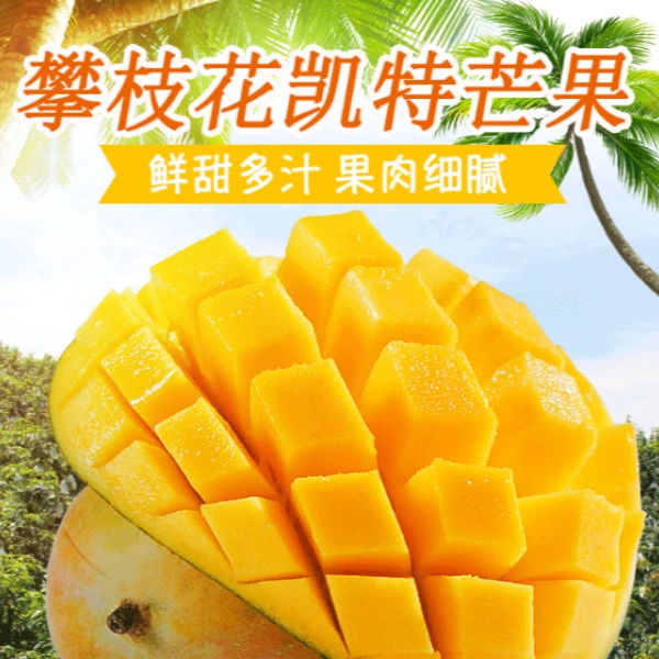 攀枝花凯特芒果新鲜现摘酸甜多汁香味浓郁应季水果