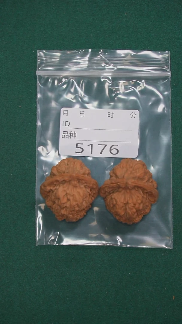 把件文玩核桃皓***?36黑山蛤蟆