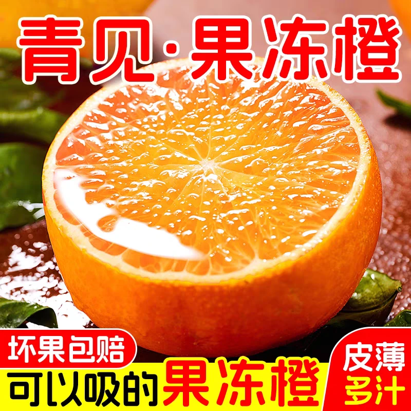 五斤装-四川青见果冻橙新鲜当季柑橘水果手剥橙