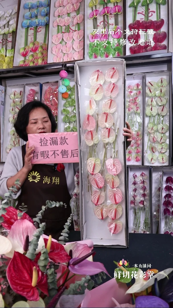 力普拉19支小掌，微瑕无售后