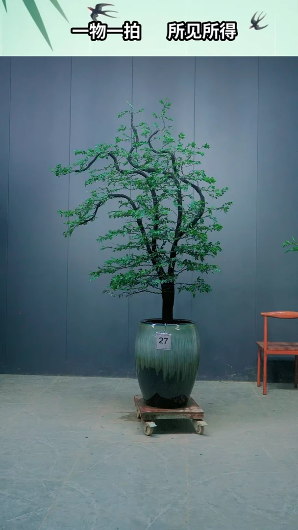 全部花朵云****您广东的小叶紫檀