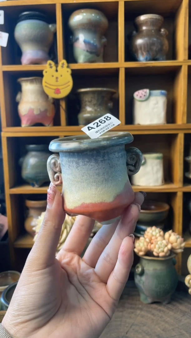 268内口5【多肉花盆多肉盆】