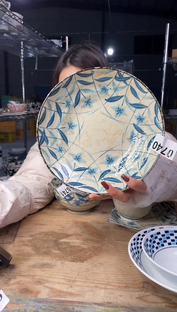 【闪购商品】瓷片740号           23*5