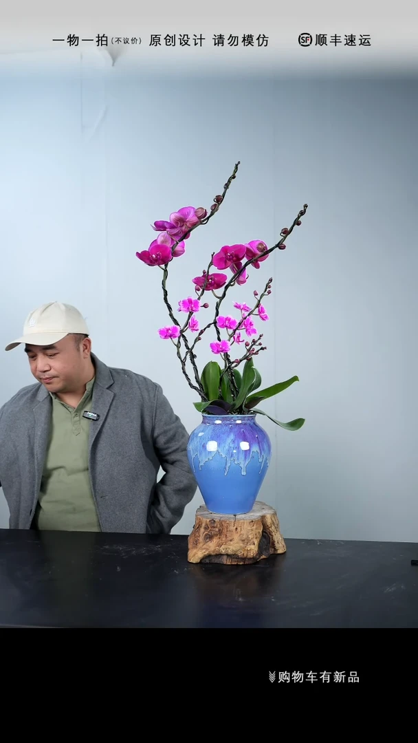 【闪购商品】110号链接【一物一拍】艺术盆景