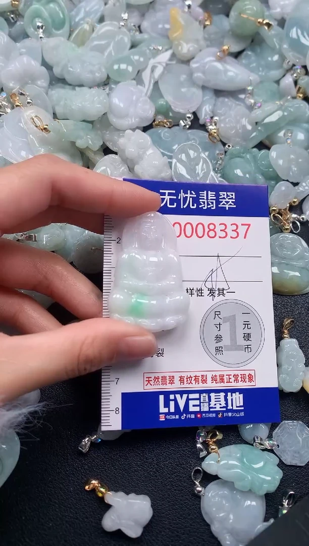 颈饰未镶嵌翡翠8337