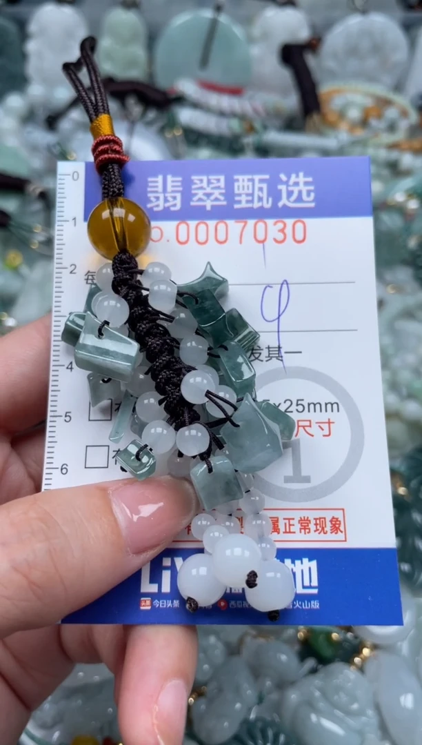 翡翠未镶嵌颈饰00..7030