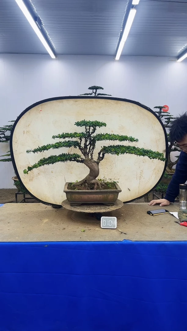 完全开放一物一拍，所见即所得1