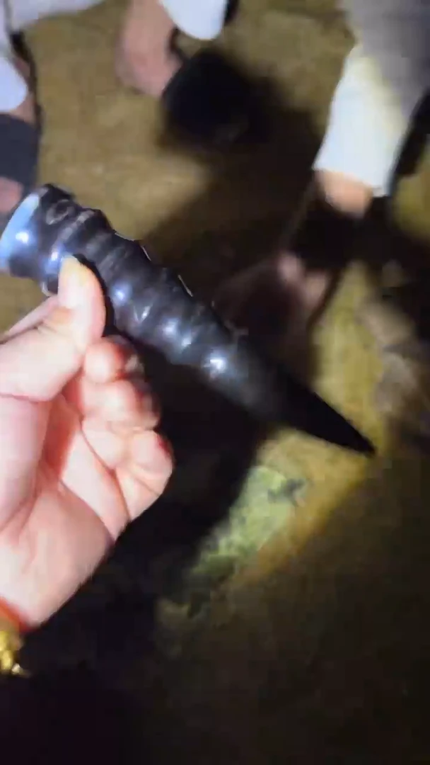 瓷片多多专属精品链接