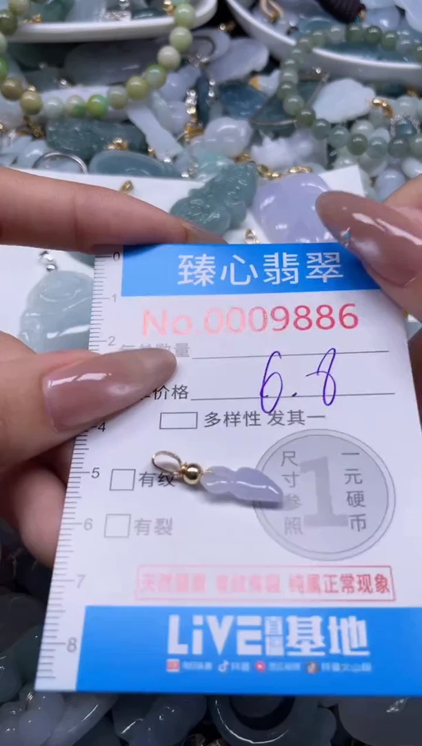 颈饰未镶嵌翡翠9886