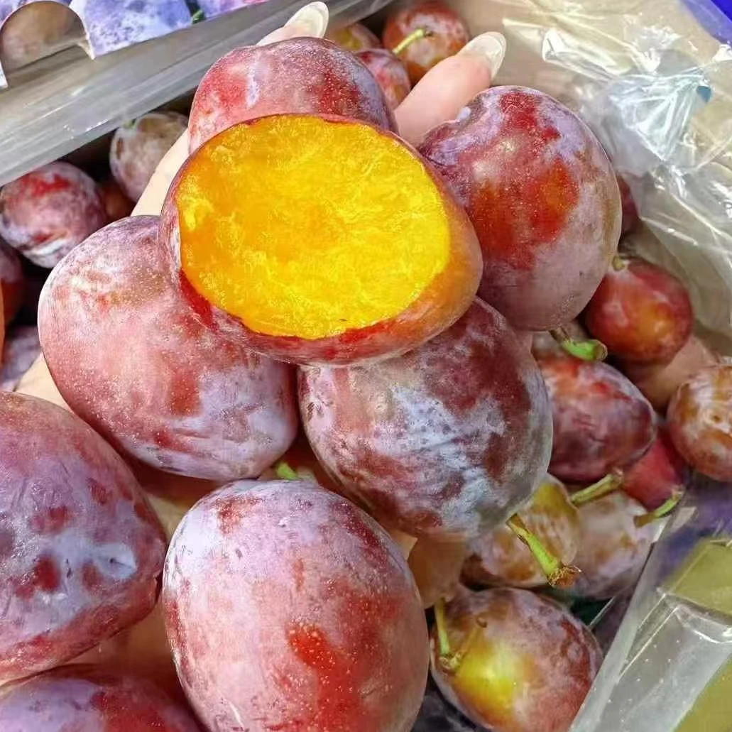 新疆冰糖西梅1-6斤