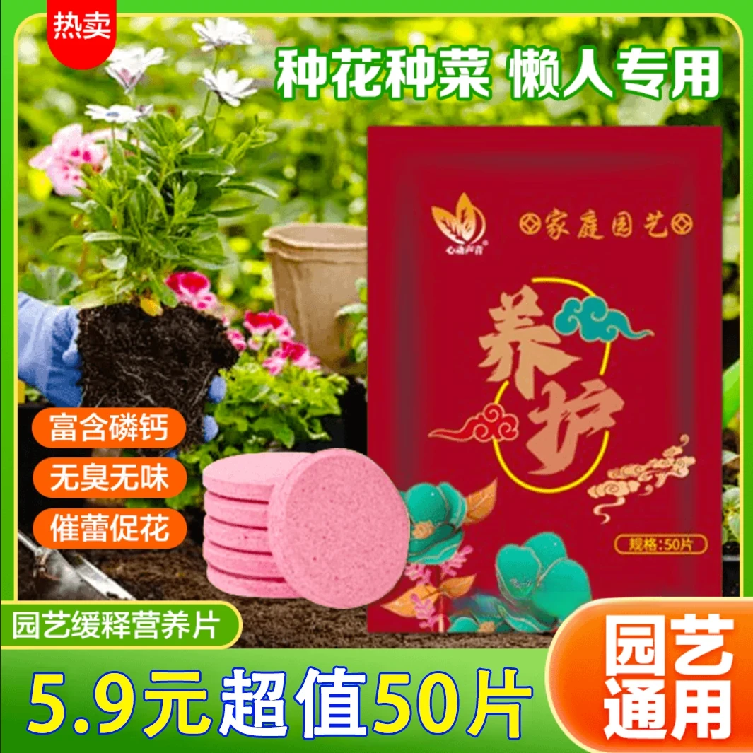 【50片超大包装】家庭园艺植物养护营养科学配比满足植物生长需求