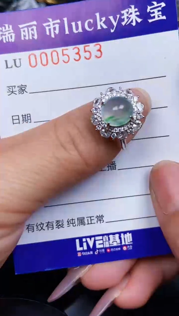 翡翠银S925镶嵌颈饰5353