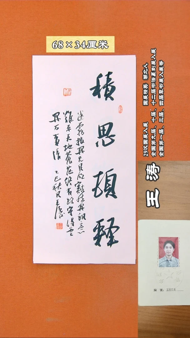 书法51D王涛书法作品