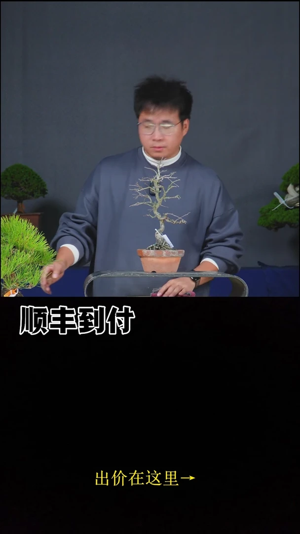 无花朵c142老鸦bubaoyou