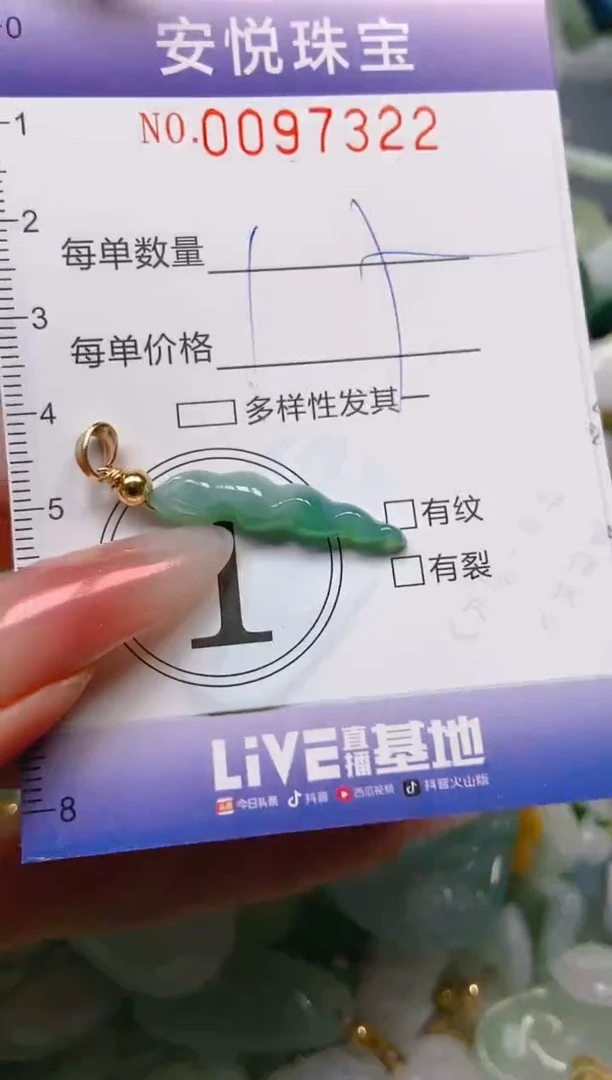 【闪购商品】翡翠颈饰未镶嵌闪购0097322