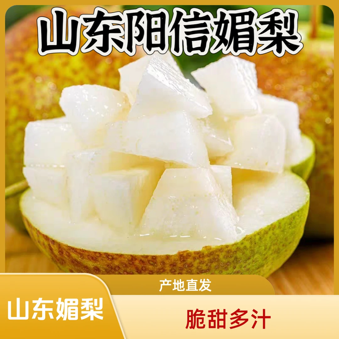 正宗山东阳信媚梨4.5-5斤皮薄脆甜多汁产地直发包邮