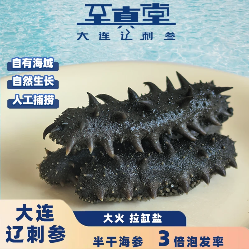 【80g尝鲜装】大连半干海参拉缸盐滋补大连辽海参大连海参