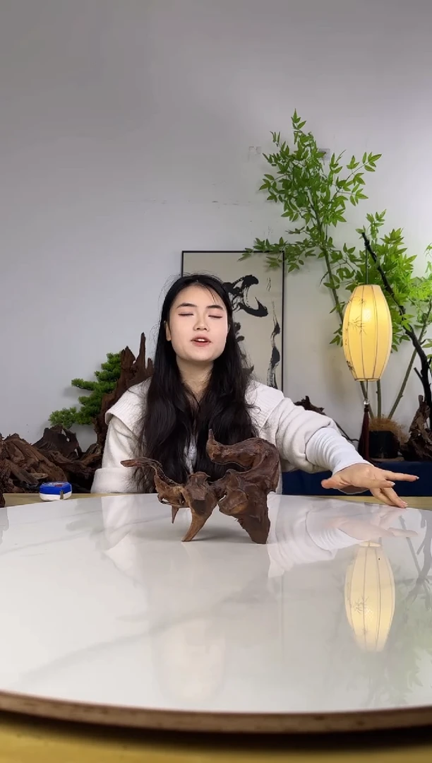 江*胖拍沉木定向链接编号25