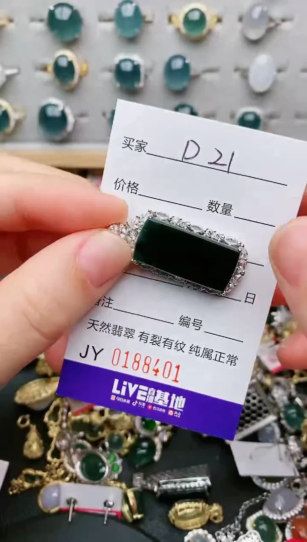 翡翠银S925镶嵌颈饰....