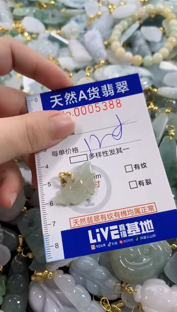 颈饰未镶嵌翡翠天然A货翡翠