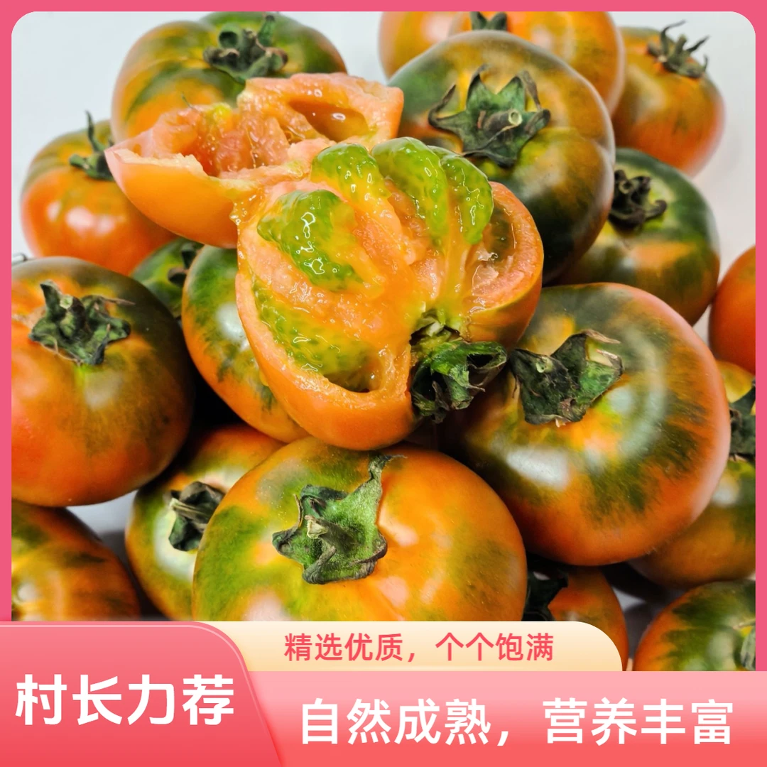 庄河铁皮柿子 现摘 五斤 包邮