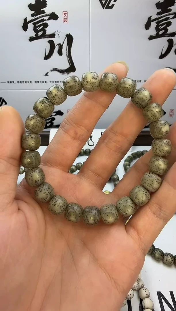 手串星月菩提10/9  石玉料 绿幽灵 星点货 同枝果