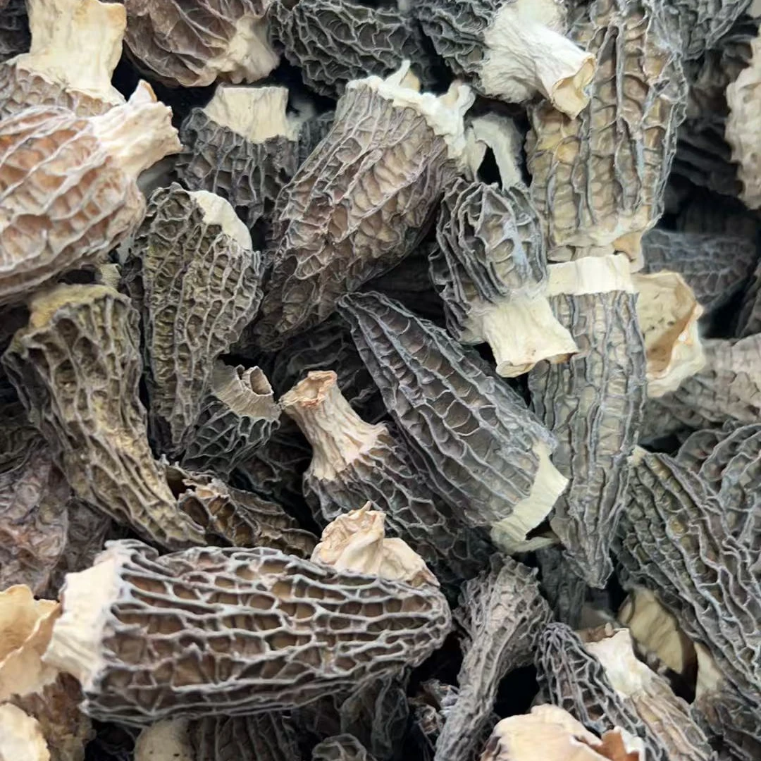 011羊肚菌干菌菇