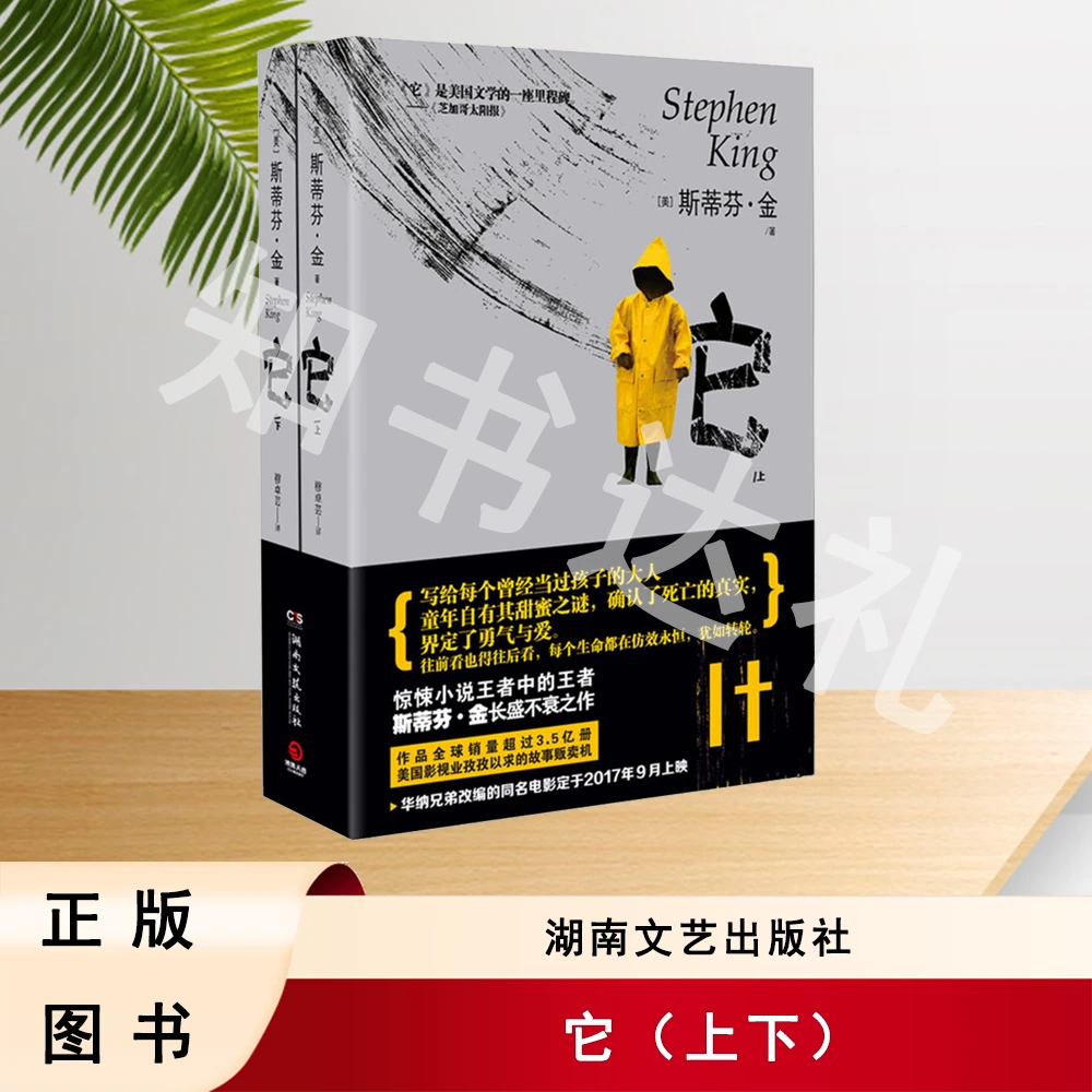 正版玖品 它（上下）斯蒂芬·金 著 湖南文艺出版社 9787540479503